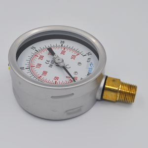 Manometro 100 mm 0-25 bar/350 Psi Inox Bronce PRIMETECH INFERIOR