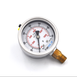 Manometro 63 mm 0-700bar/10150 Psi Inox Bronce Inferior PRIMETECH